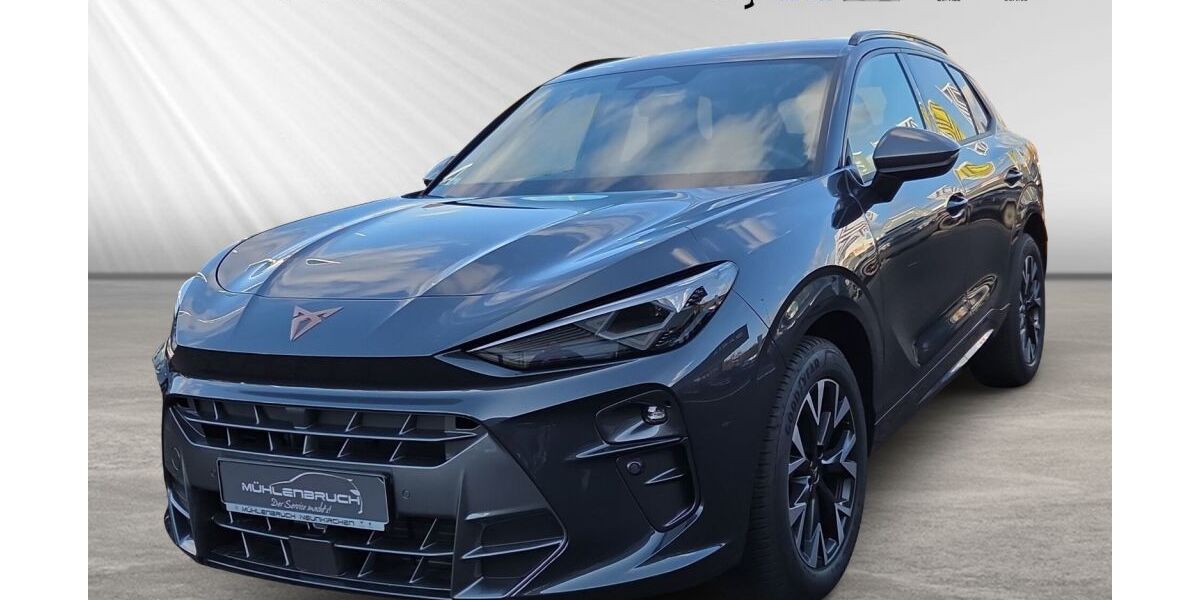 Cupra Terramar 6.382 km 35.987 &euro; Neunkirchen 57290