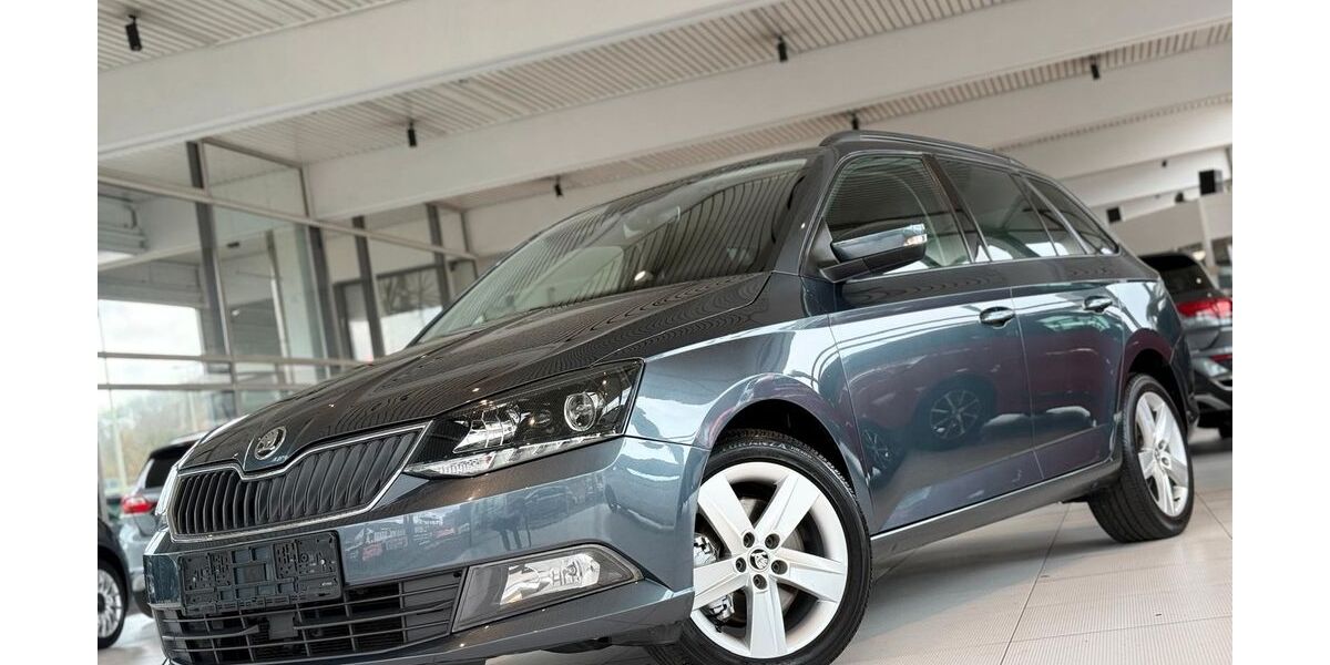 Skoda Fabia 96.818 km 10.991 &euro; Siegen 57078