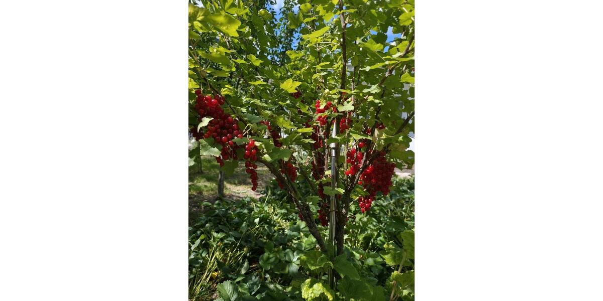 Bungalow Rennerod - 510.000&euro; | Angebot:24782884