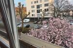 Etagenwohnung Siegen Dillnhütten - 2 Zimmer, 90 m&sup2;, 870&euro; | Angebot:25872745