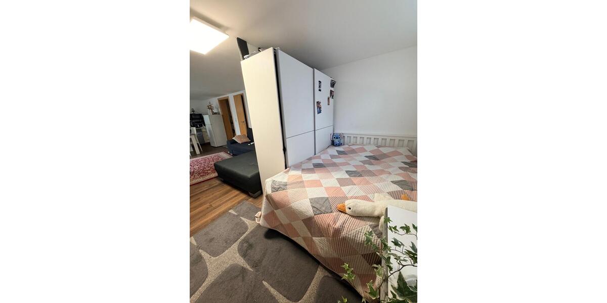 Erdgeschoßwohnung Betzdorf - 1 Zimmer, 45 m&sup2;, 580&euro; | Angebot:25483145