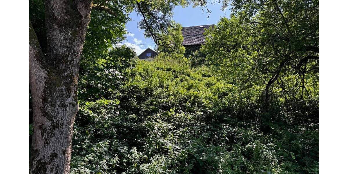 Grundstück Morsbach Rhein - 39.000&euro; | Angebot:25691902