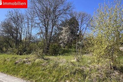Grundstück Driedorf - 149.000&euro; | Angebot:26554963