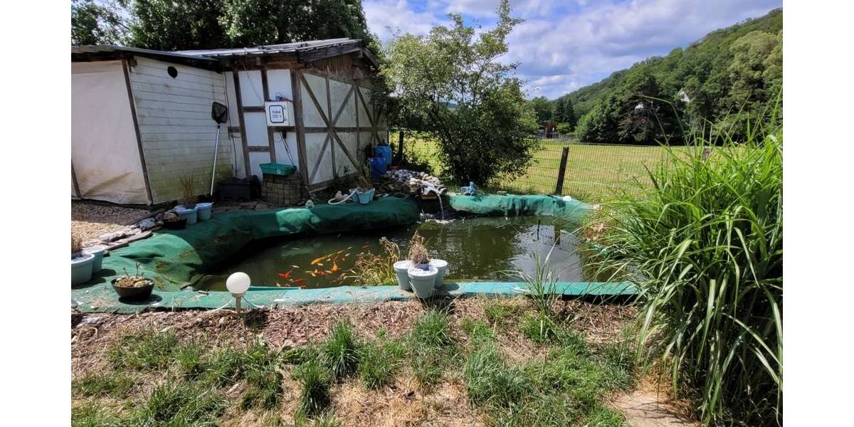 Mehrfamilienhaus, Wohnhaus Netphen / Hainchen Hainchen - 9 Zimmer, 205 m&sup2;, 299.000&euro; | Angebot:25700453