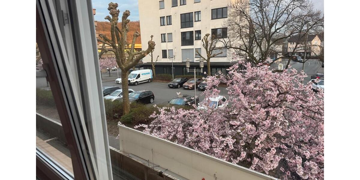 Etagenwohnung Siegen Dillnhütten - 2 Zimmer, 90 m&sup2;, 870&euro; | Angebot:25872740
