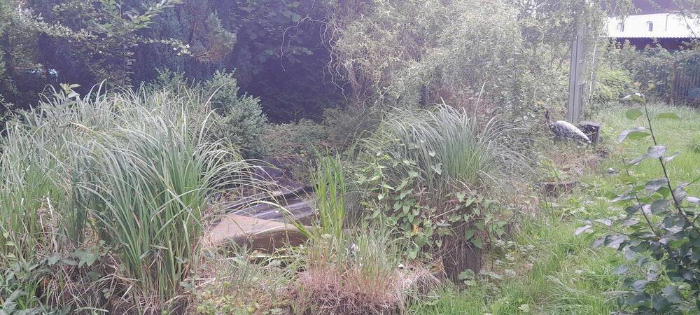 Mehrfamilienhaus, Wohnhaus Dietzhölztal Ewersbach - 7 Zimmer, 215 m&sup2;, 189.000&euro; | Angebot:25689865