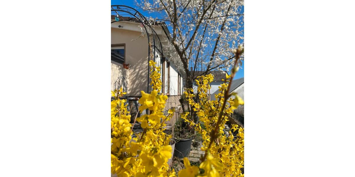 Einfamilienhaus Bad Laasphe - 6 Zimmer, 168 m&sup2;, 245.000&euro; | Angebot:20181582