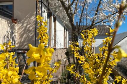 Haus Bad Laasphe - 6 Zimmer, 168 m&sup2;, 245.000&euro; | Angebot:20181582