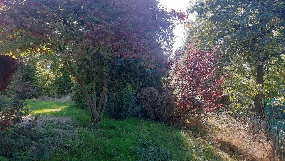 Grundstück Waldbröl - 120.000&euro; | Angebot:25735473