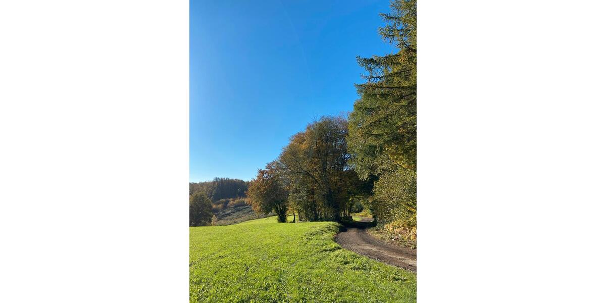 Terrassenwohnung Reichshof - 1 Zimmer, 39 m&sup2;, 780&euro; | Angebot:24307346