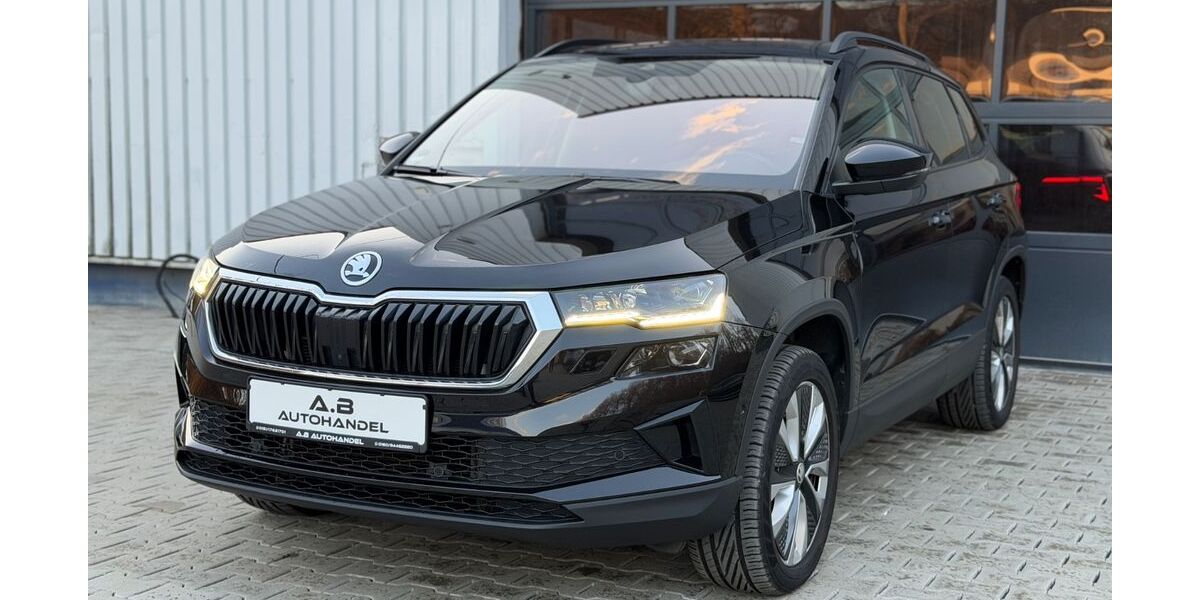 Skoda Karoq 120.000 km 22.490 &euro; Wilden (Siegerland) 57234