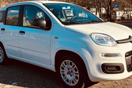 Fiat New Panda 30.110 km 8.800 &euro; Siegen 57072