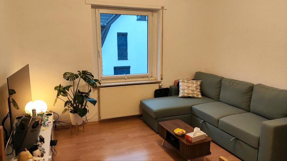 Hochparterre Siegen Weidenau - 2 Zimmer, 60 m&sup2;, 650&euro; | Angebot:25900265