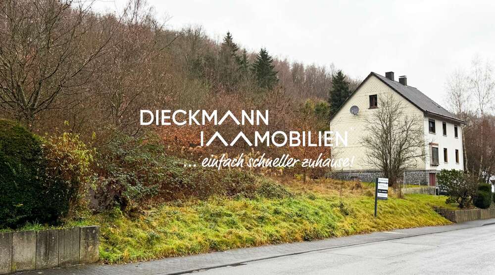 Grundstück Niederdreisbach - 38.500&euro; | Angebot:24279637