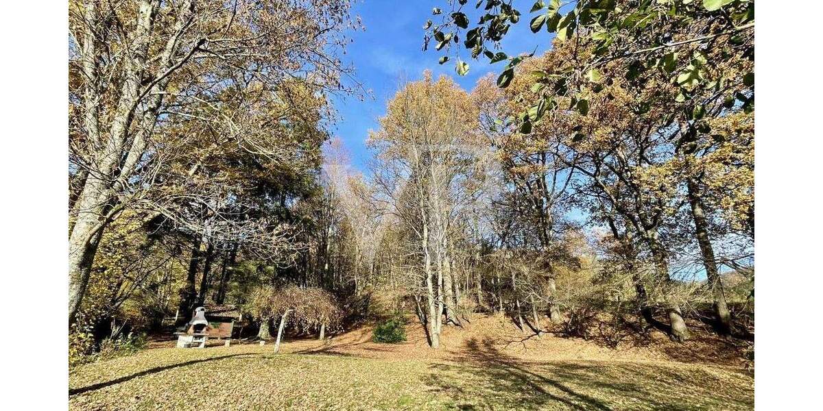 Einfamilienhaus Lennestadt Saalhausen - 6 Zimmer, 100 m&sup2;, 295.000&euro; | Angebot:25688447