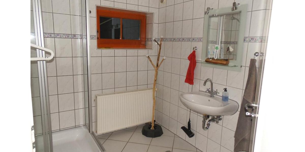 Etagenwohnung Niederfischbach - 1 Zimmer, 55 m&sup2;, 480&euro; | Angebot:26042117