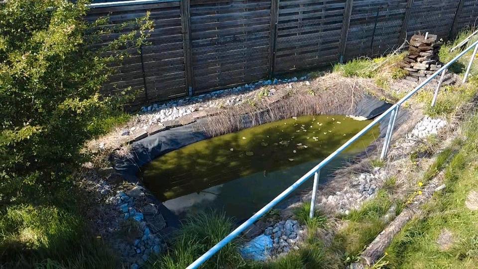 Einfamilienhaus Etzbach - 6 Zimmer, 120 m&sup2;, 65.000&euro; | Angebot:25299405