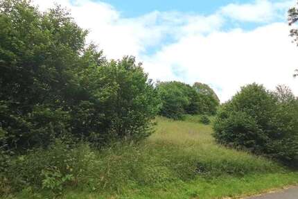 Grundstück Katzwinkel - 25.000&euro; | Angebot:25203732