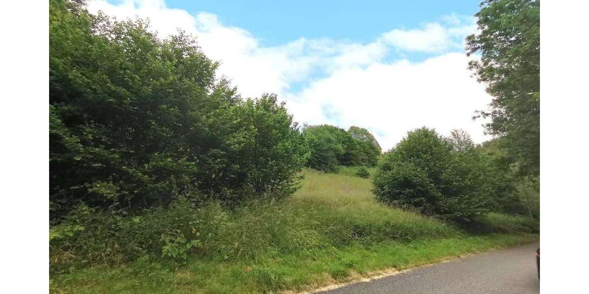 Grundstück Katzwinkel - 25.000&euro; | Angebot:25203732