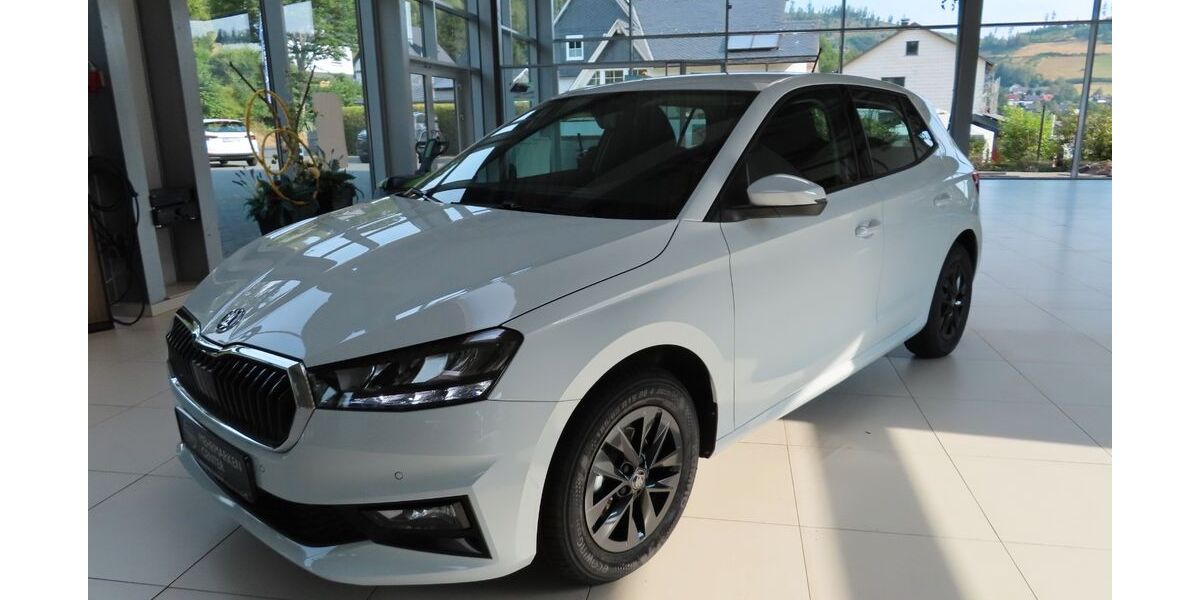 Skoda Fabia 1.150 km 21.990 &euro; Bad Laasphe 57334