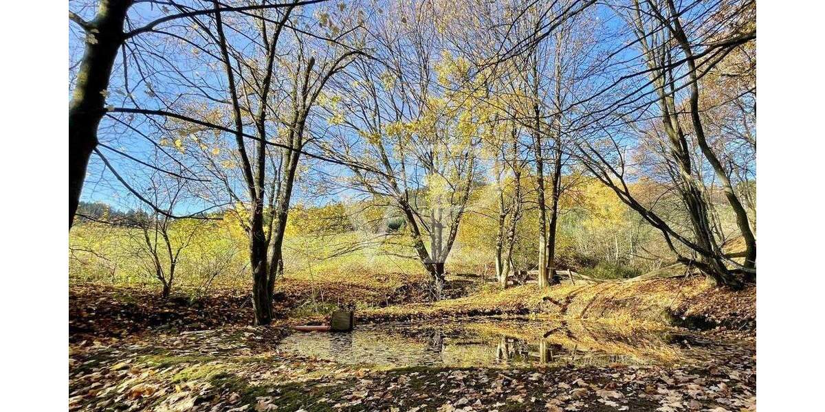 Einfamilienhaus Lennestadt Saalhausen - 6 Zimmer, 100 m&sup2;, 295.000&euro; | Angebot:25688447