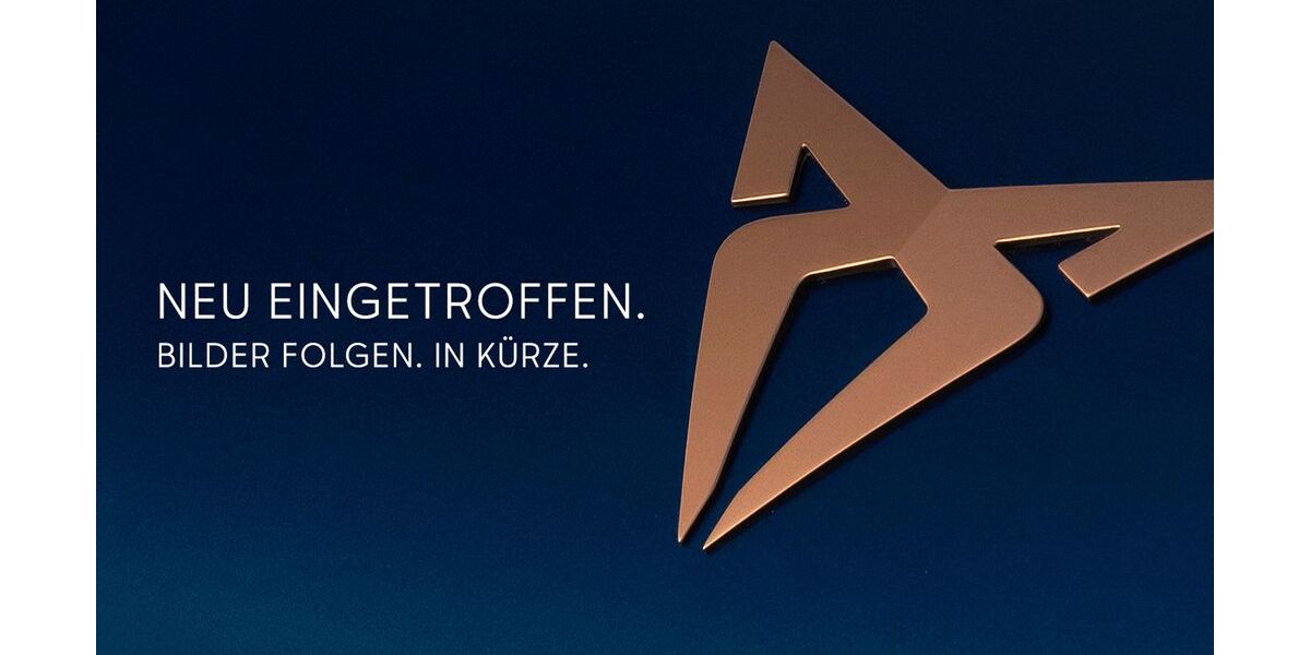 Cupra Tavascan 8.000 km 52.990 &euro; Siegen 57072