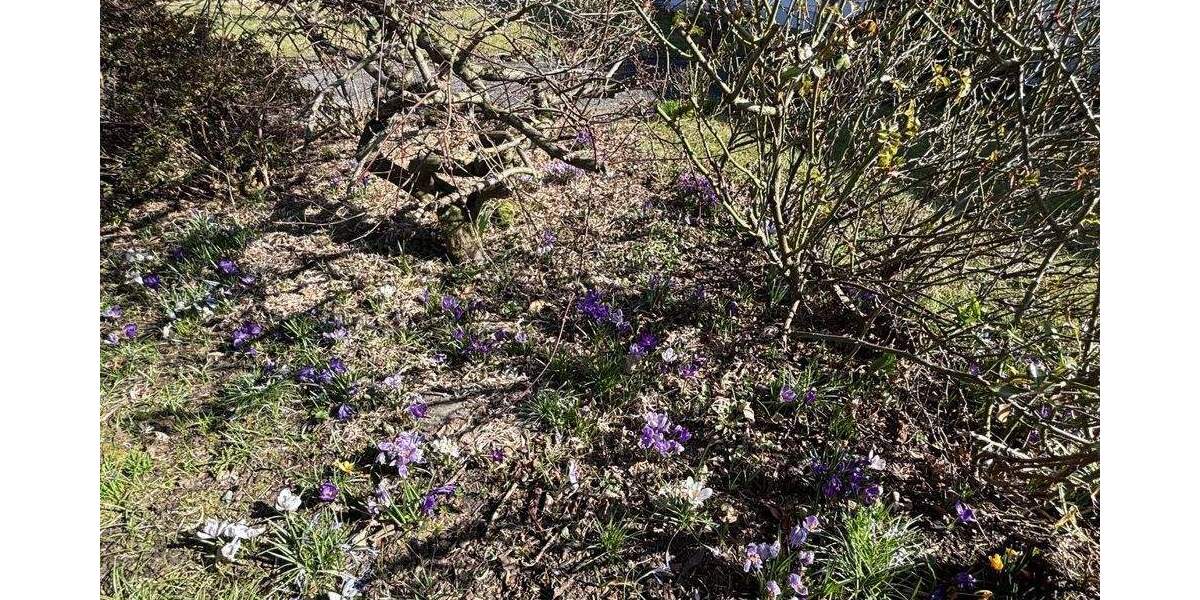 Einfamilienhaus Reichshof Brüchermühle - 5 Zimmer, 160 m&sup2;, 355.000&euro; | Angebot:25698219