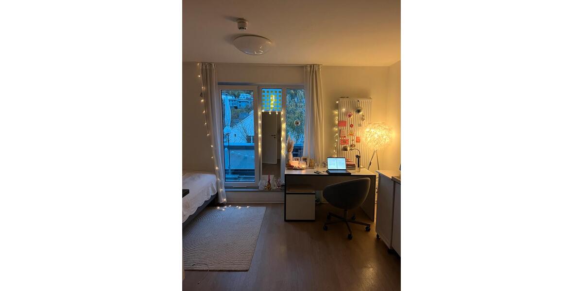 Etagenwohnung Siegen Kaan-Marienborn - 1 Zimmer, 24 m&sup2;, 490&euro; | Angebot:25801222