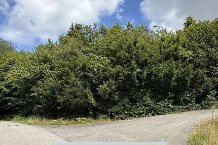 Grundstück Bölsberg - 43.000&euro; | Angebot:22068909