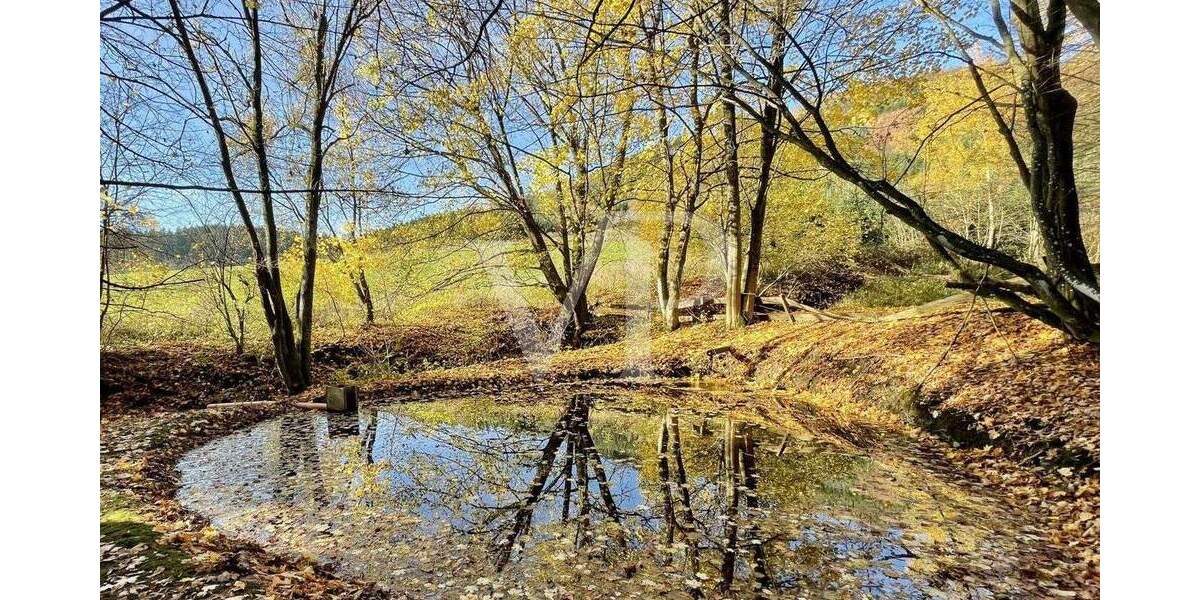 Einfamilienhaus Lennestadt Saalhausen - 6 Zimmer, 100 m&sup2;, 295.000&euro; | Angebot:25688447