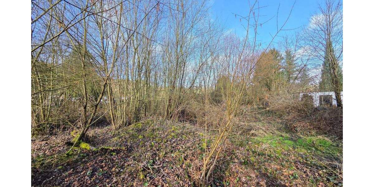 Mehrfamilienhaus, Wohnhaus Pracht / Niederhausen Niederhausen - 8 Zimmer, 229 m&sup2;, 299.000&euro; | Angebot:25819920