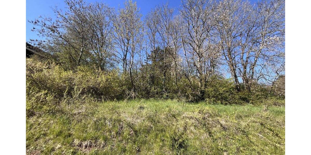 Grundstück Driedorf - 149.000&euro; | Angebot:26554963