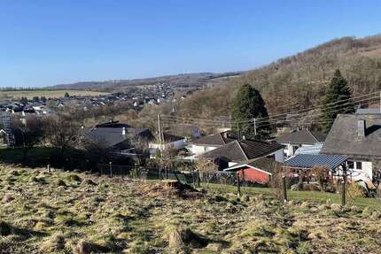 Grundstück Luckenbach - 35.000&euro; | Angebot:25310373