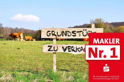 Grundstück Erndtebrück Birkelbach - 61.900&euro; | Angebot:25667523