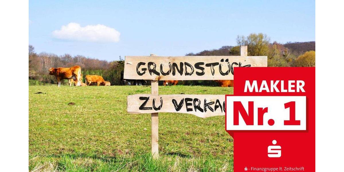 Grundstück Erndtebrück Birkelbach - 61.900&euro; | Angebot:25667523