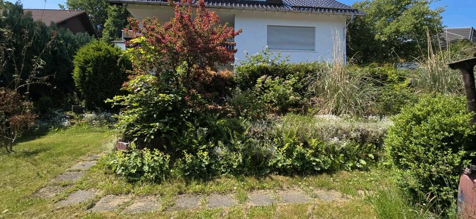 Etagenwohnung Dietzhölztal - 3 Zimmer, 100 m&sup2;, 700&euro; | Angebot:25960498