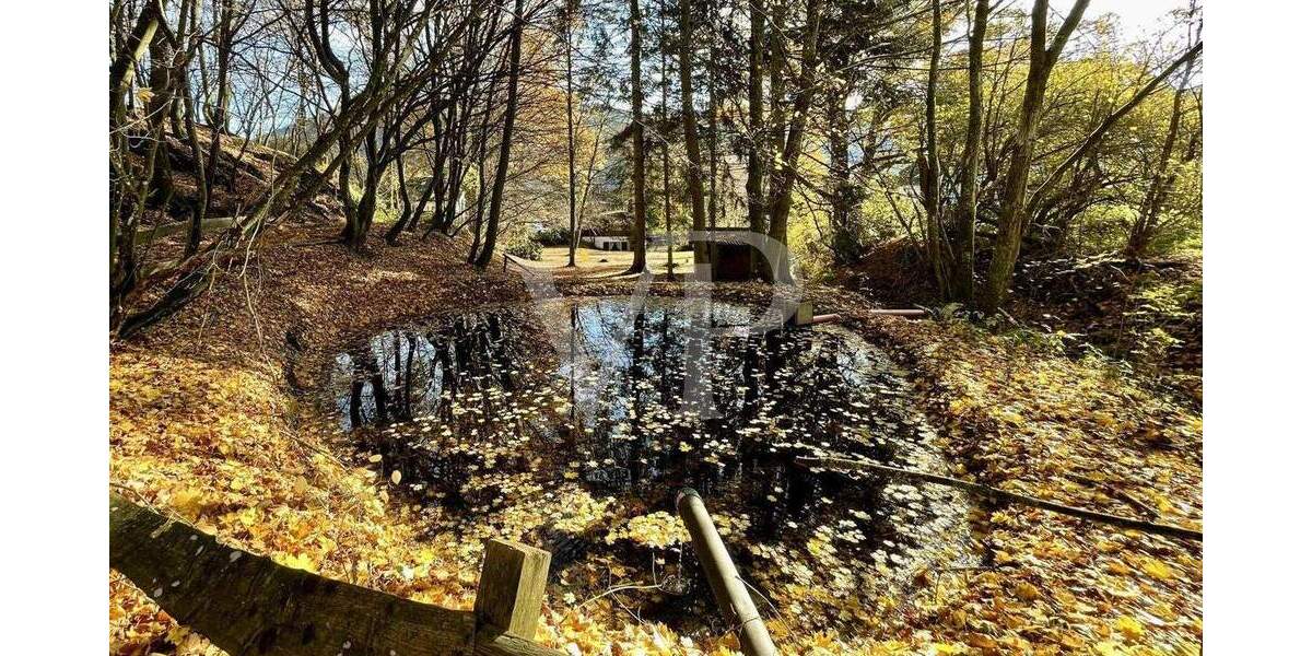 Einfamilienhaus Lennestadt Saalhausen - 6 Zimmer, 100 m&sup2;, 295.000&euro; | Angebot:25688447