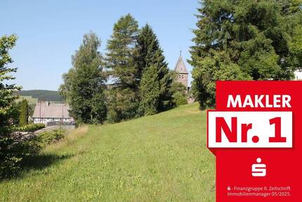 Grundstück Erndtebrück Birkelbach - 20.000&euro; | Angebot:25667714