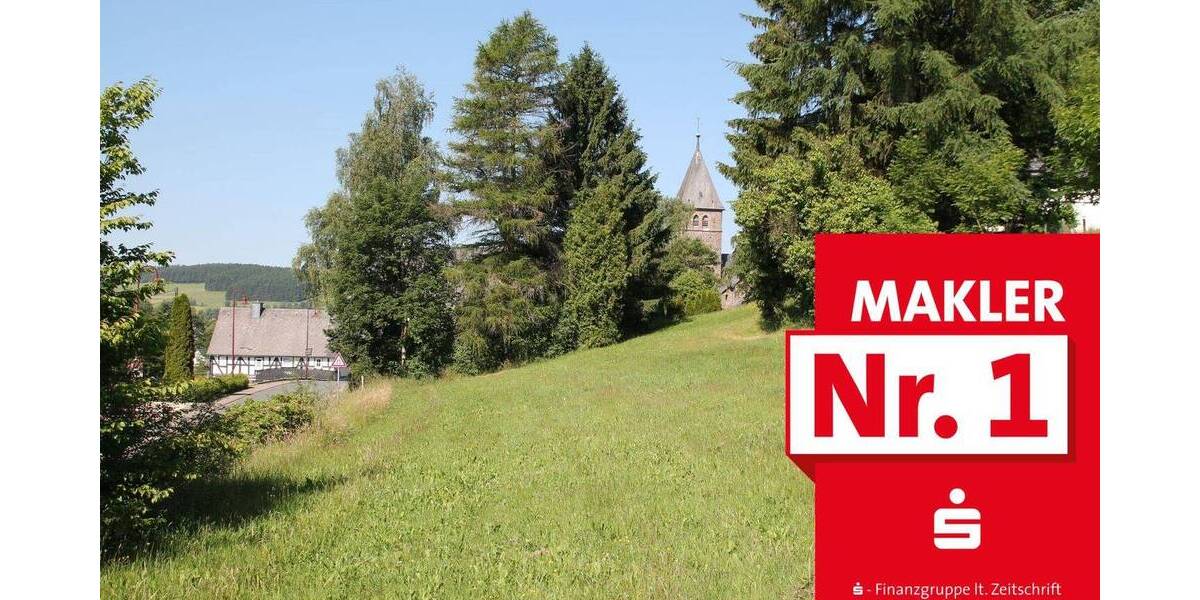 Grundstück Erndtebrück Birkelbach - 20.000&euro; | Angebot:25667714