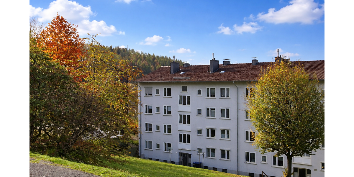 Etagenwohnung SIegen Kaan-Marienborn - 3 Zimmer, 64 m&sup2;, 512&euro; | Angebot:24733628