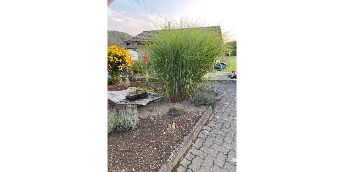 Einfamilienhaus Netphen - 7 Zimmer, 120 m&sup2;, 310.000&euro; | Angebot:25052872