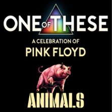 One Of These - A Celebration of Pink Floyd: Animals-Tour 06.11.2026 kulturWERKwissen