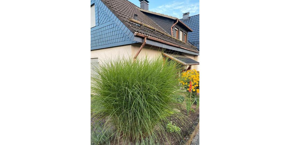 Einfamilienhaus Netphen - 7 Zimmer, 120 m&sup2;, 310.000&euro; | Angebot:25052872