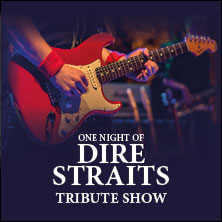 One Night of Dire Straits - Tribute Show 27.11.2026 Siegerlandhalle