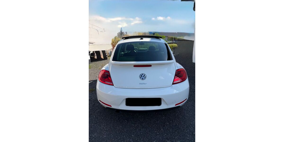 VW Beetle 143.272 km 6.900 &euro; Hamm 57577