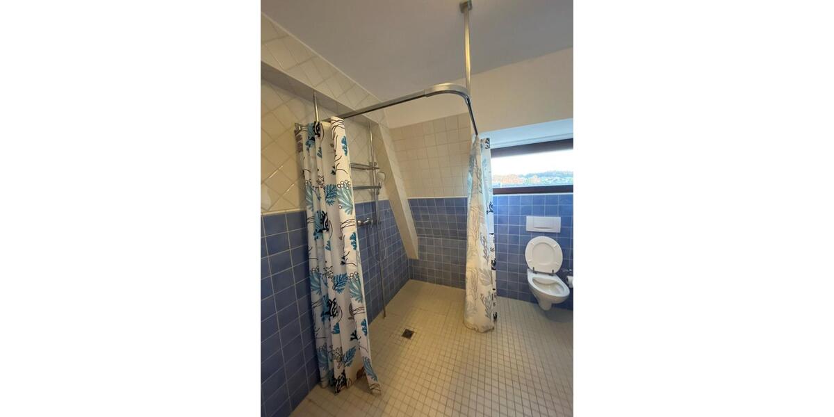 Dachgeschoßwohnung Hachenburg - 2 Zimmer, 57 m&sup2;, 555&euro; | Angebot:25331964