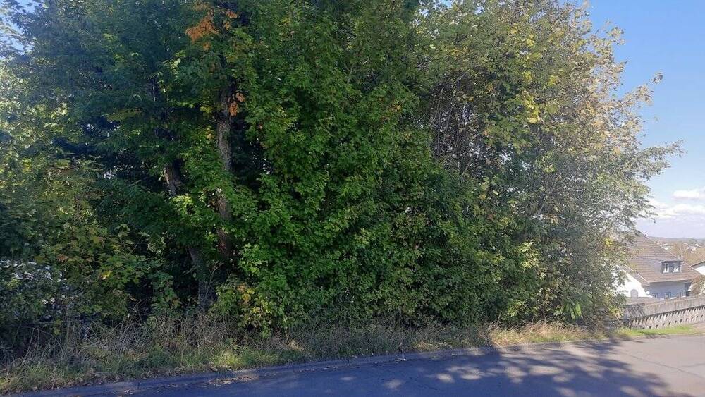 Grundstück Waldbröl - 120.000&euro; | Angebot:25735473