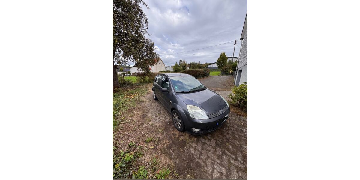 Ford Fiesta 224.000 km 1.350 &euro; Steinebach 57520