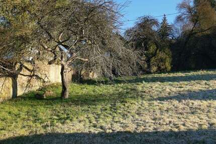 Grundstück Hövels - 45.000&euro; | Angebot:25203721