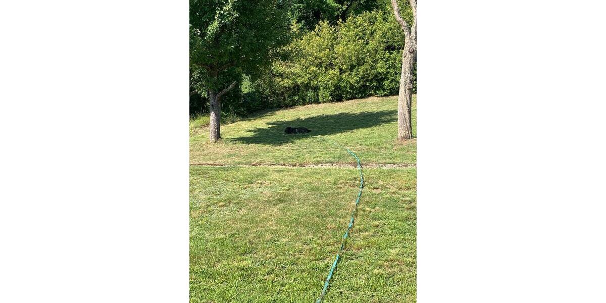 Einfamilienhaus Dillenburg Donsbach - 125.000&euro; | Angebot:25422737